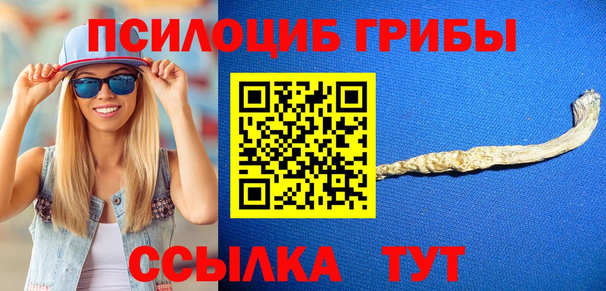 как найти наркотики  Галлюциногенные грибы ЛСД  Вход с VPN  Дальнегорск 